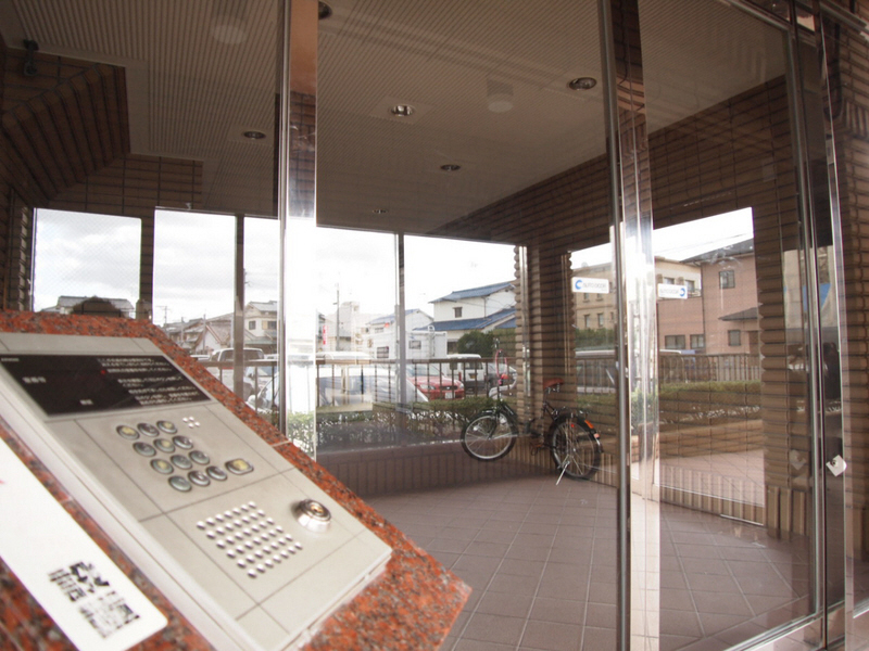 Entrance. Security surface worry with auto-lock.