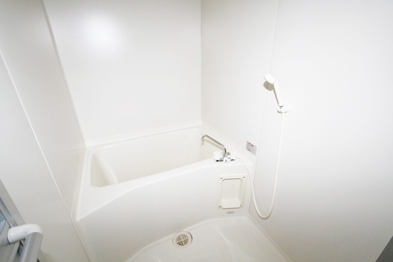 Bath. Beautiful bathroom