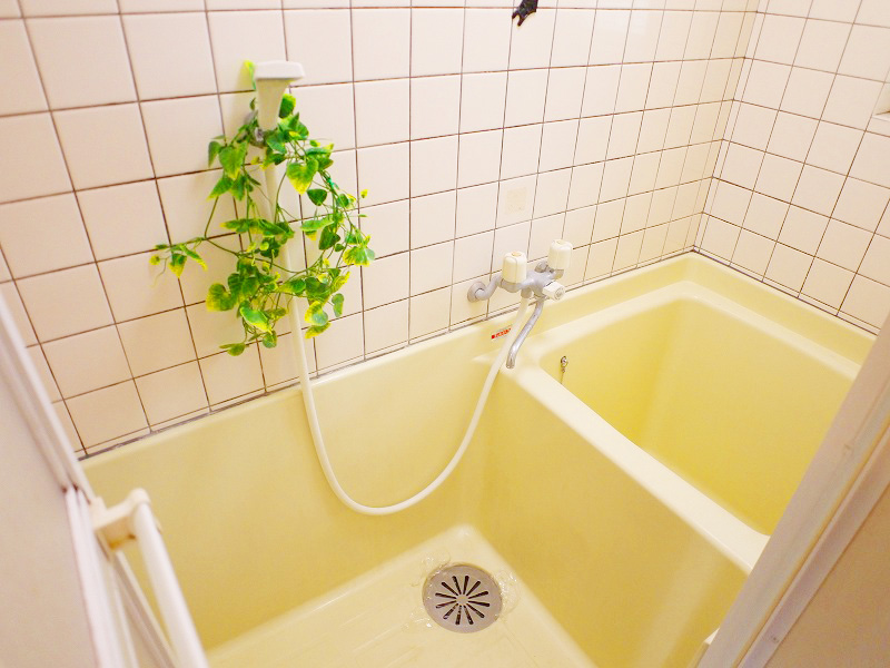 Bath. Bus is a toilet