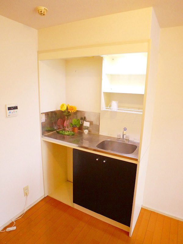 Kitchen. Stylish kitchen