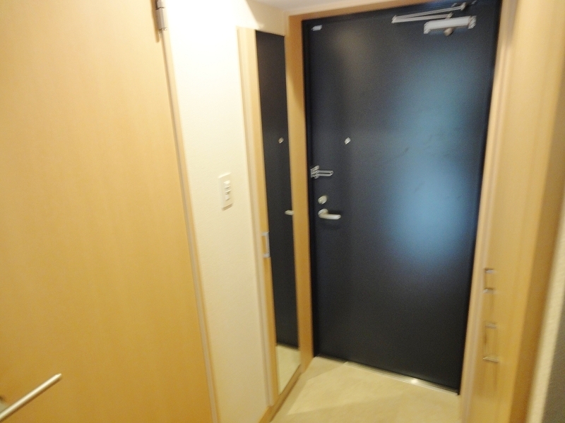 Entrance. Check in spacious in the front door of the room to go out with a full-length mirror! 