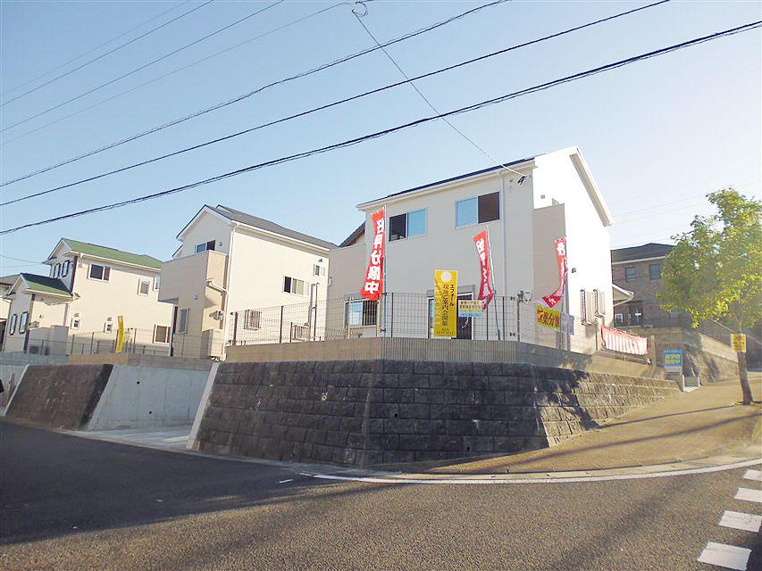 Local appearance photo. Local photo (2013 September 16)