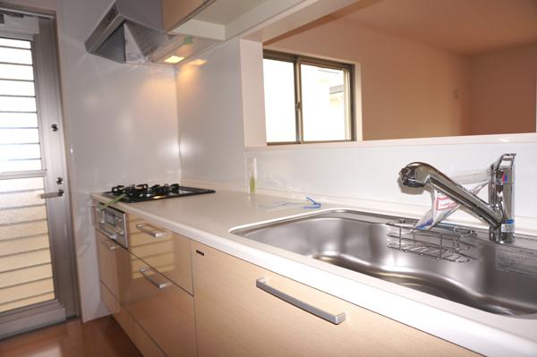 Kitchen. Indoor (11 May 2013) Shooting