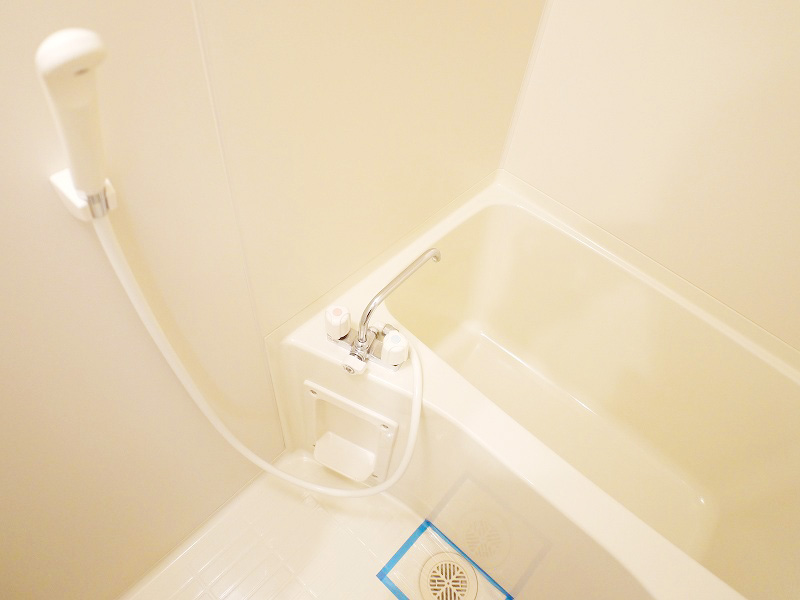 Bath. Spacious bathroom