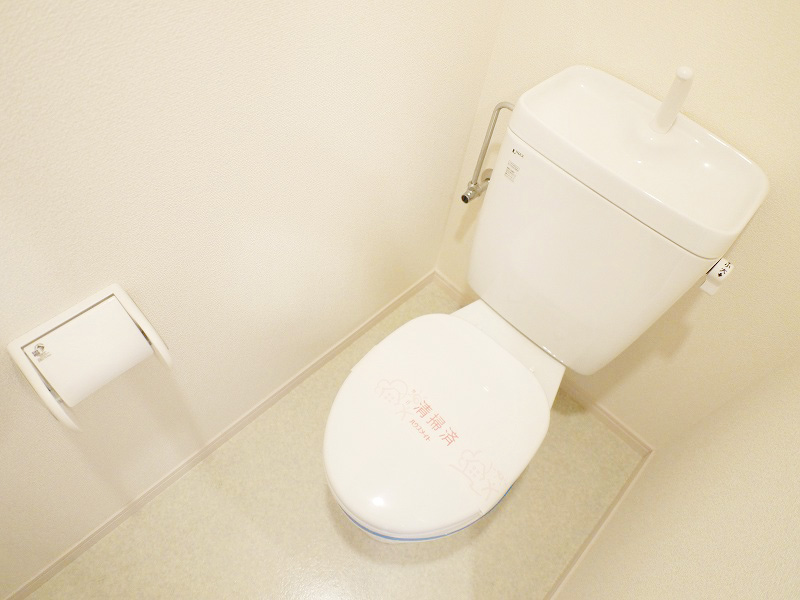 Toilet. Cleanliness is perfect toilet