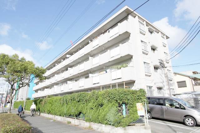 Other. Firm Mansion Type