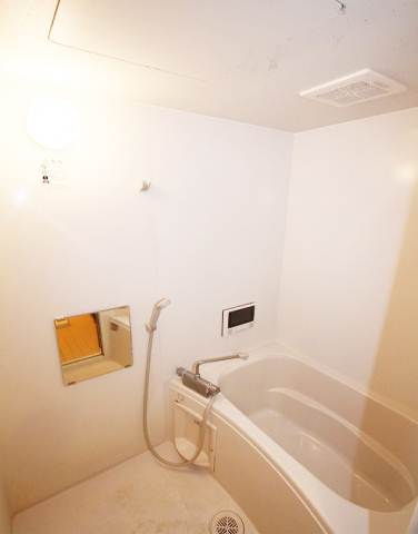 Bath. What with bathroom TV in a fairly wide bathroom