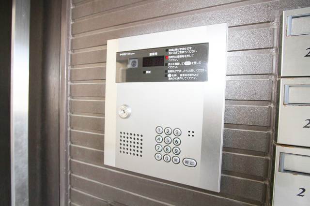 Security. Woman in the auto-lock also safe