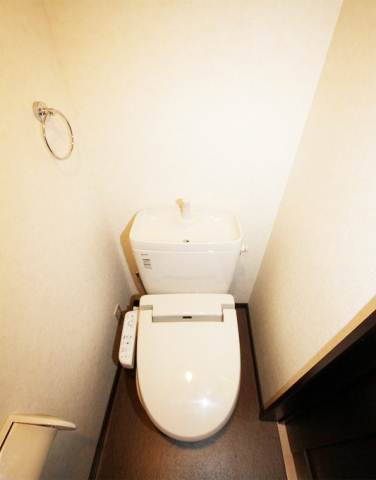 Toilet. Bidet with toilet