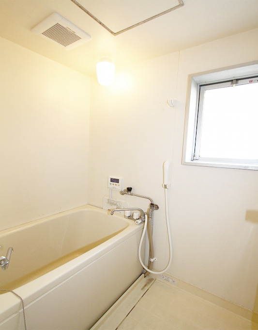 Bath. It is the bath. It comes with a window