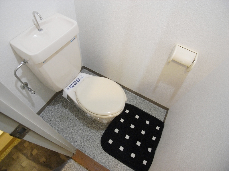 Toilet. Toilets clean, clean