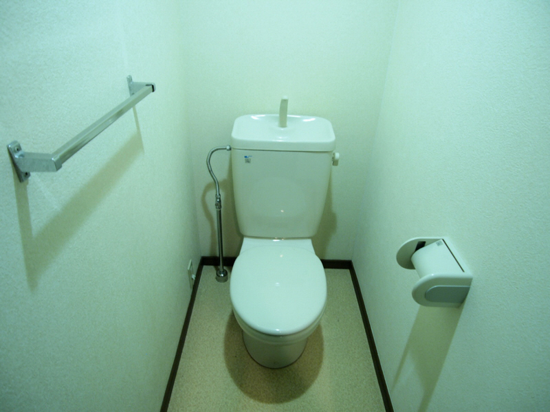 Toilet. Toilet is also clean.