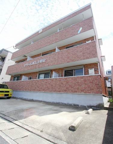 Other. Stylish appearance