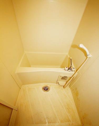 Bath. It is the bath. Spacious bath time