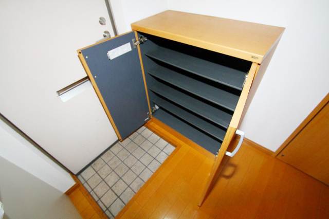 Receipt. Also it comes with a firm shoe box