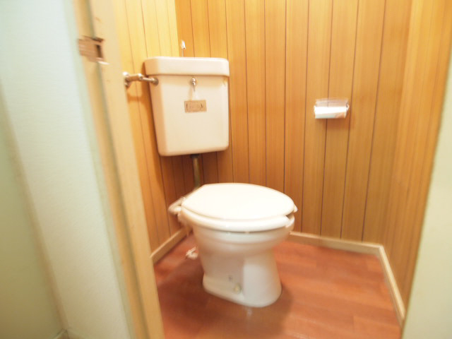 Toilet. There is a toilet in the back of the toilet. 