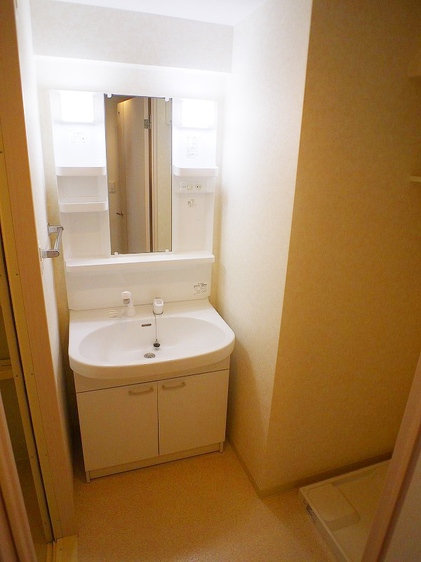 Washroom. Shampoo dresser