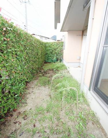 Garden. Happy private garden