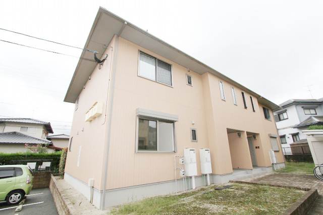 Other. Lovely appearance