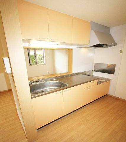 Kitchen. Popular face-to-face kitchen