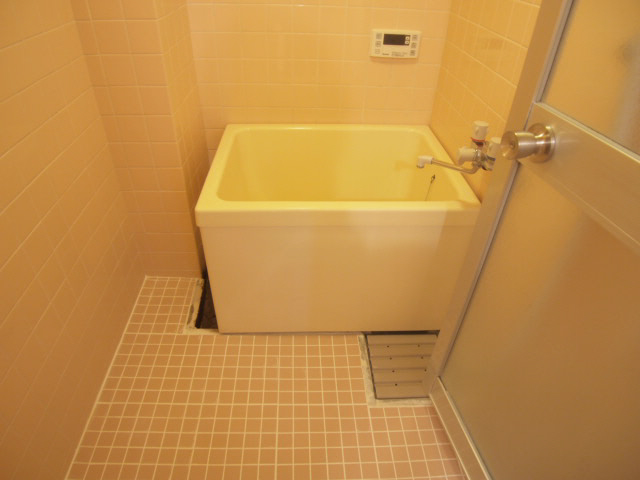 Bath. Washing place is also spread. 