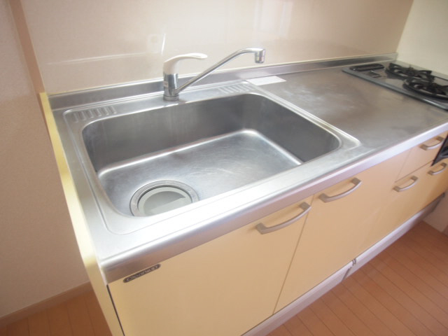 Kitchen. Sink also is spread. 