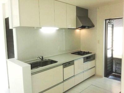 Kitchen. Equipped with dish washing and drying machine in the kitchen
