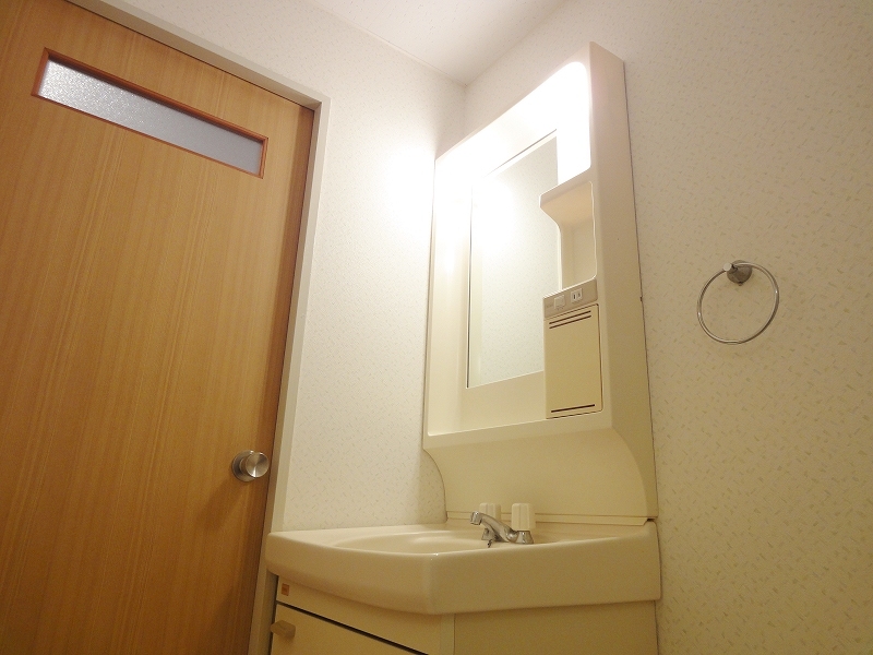 Washroom. In the morning, shampoo dresser to be especially useful