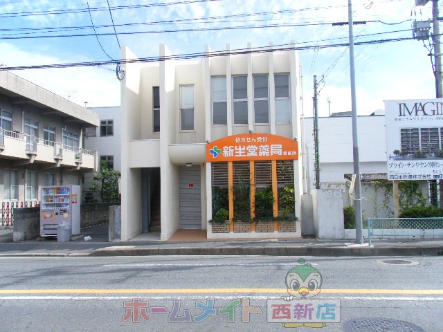 Dorakkusutoa. Shinseido pharmacy Iikura shop 159m until (drugstore)