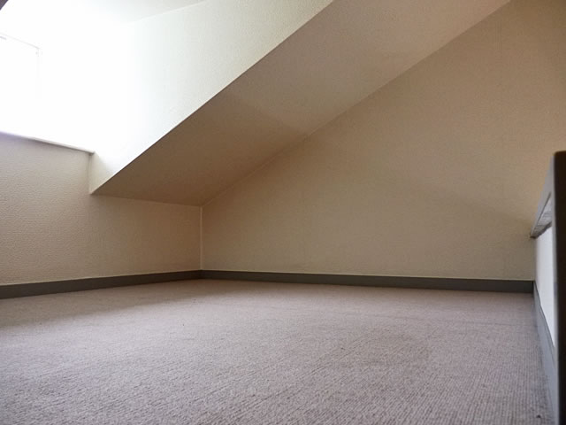 Other room space. Loft (2.5 quire)