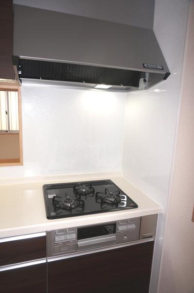 Other introspection. Indoor (10 May 2013) Shooting