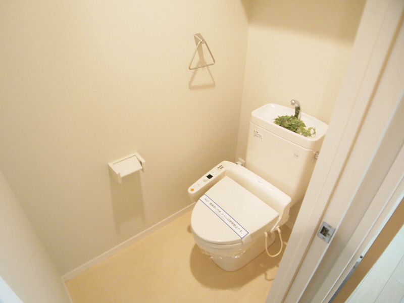 Toilet. Toilet cleanliness with warm water washing toilet seat