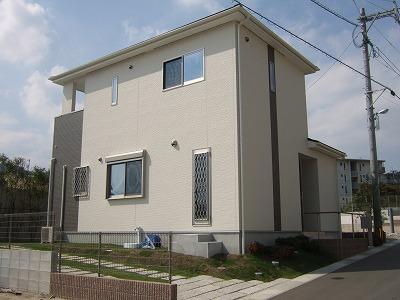 Other. Other is a complete image photo