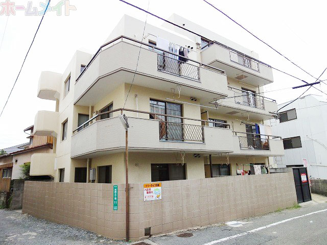 Building appearance. Firm Mansion Type