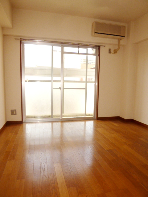 Living and room. Day is good.