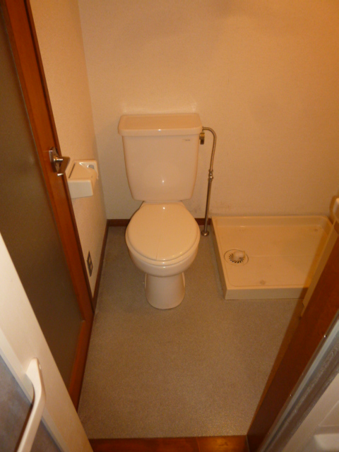 Toilet. Toilet of rest.