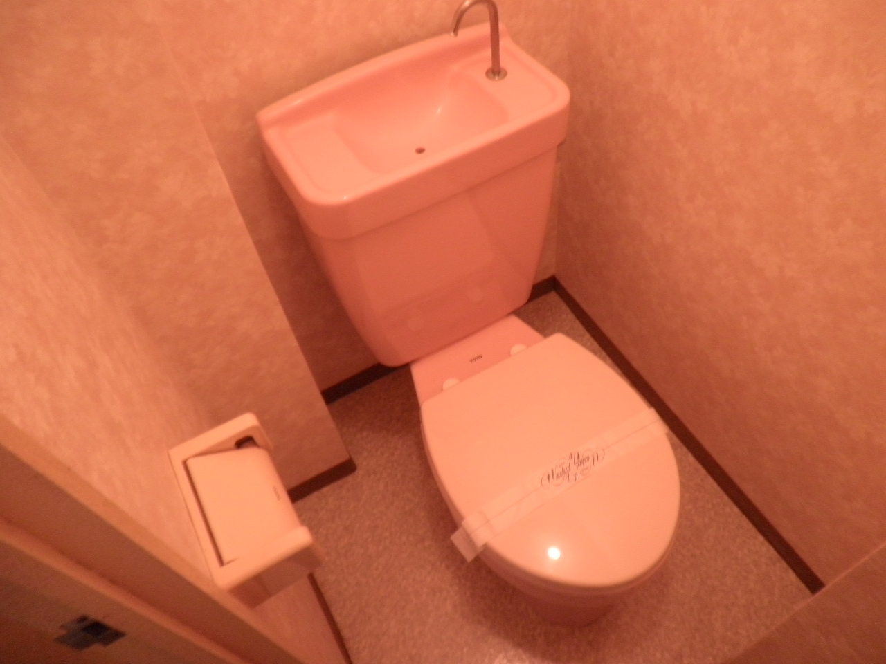 Toilet. Spacious toilet ☆
