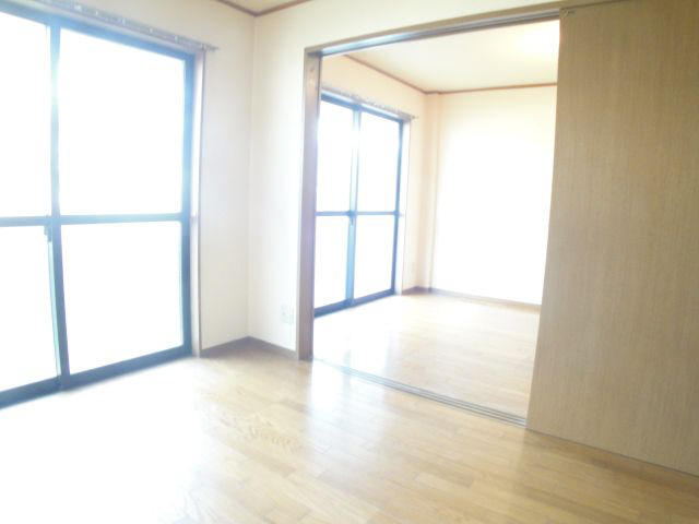 Living and room. Sunny room