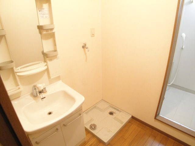 Washroom. Easy to use and comes with shampoo dresser