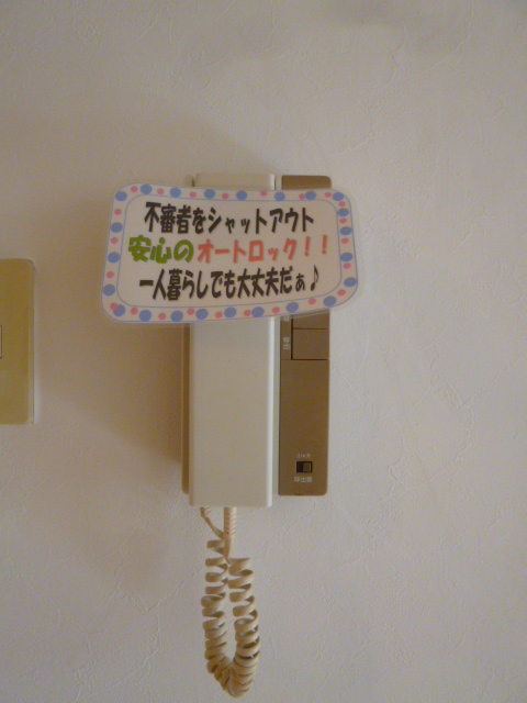 Other. Peace of mind in this!