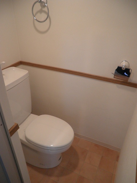 Toilet. Annual toilet check ☆