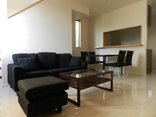 Living. Indoor (11 May 2013) Shooting