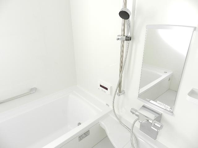 Bathroom. Local (11 May 2013) Shooting