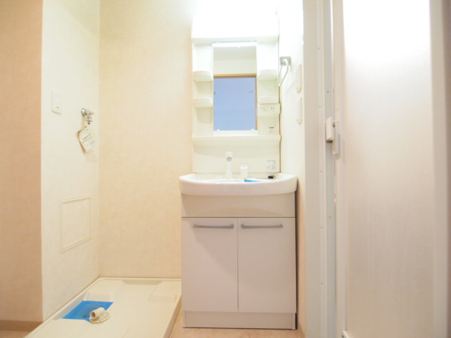 Washroom. Wash basin with a morning of strong ally shampoo dresser