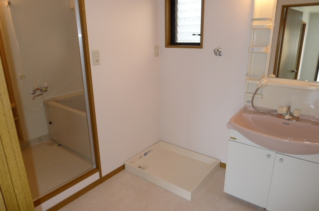 Washroom. Wash basin with a shower