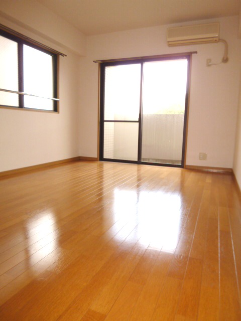 Living and room. Sunny two-plane daylight!