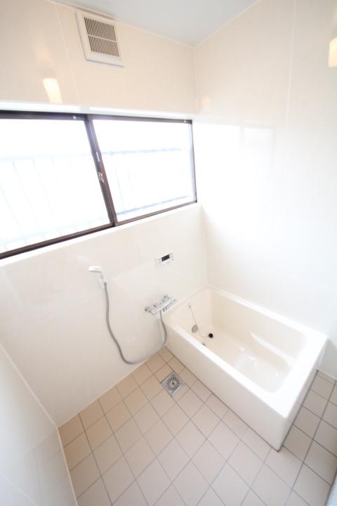 Bathroom. Local (12 May 2013) Shooting