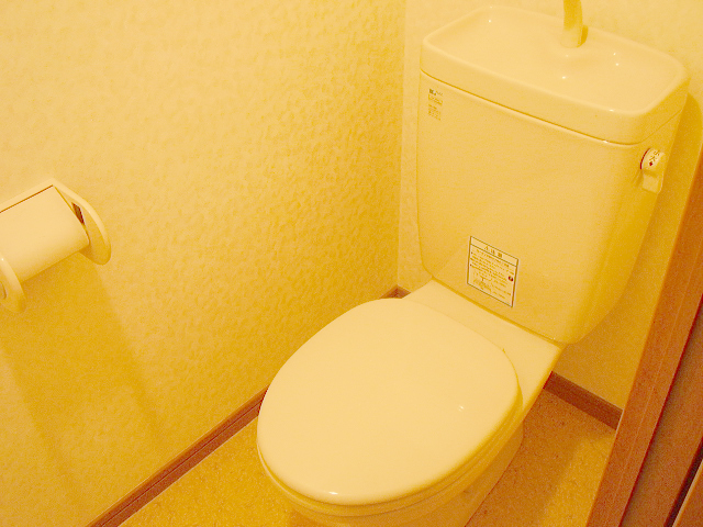 Toilet. Toilet also loose ☆