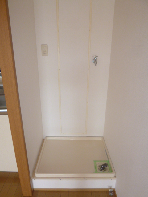 Toilet. Of course, indoor laundry storage!