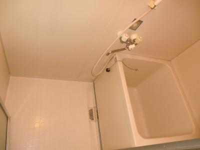 Bath. Bathroom (photo another type)